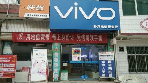 vivo身份验证在哪里