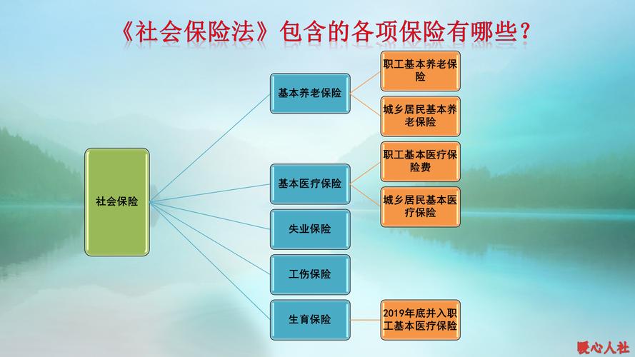 养老保险和社保有什么区别