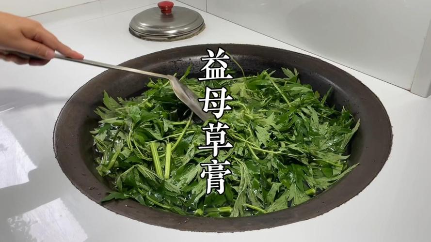 益母草什么时候喝最好