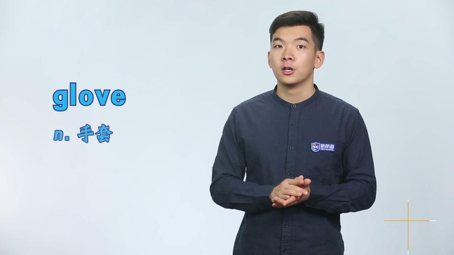 glove是什么意思