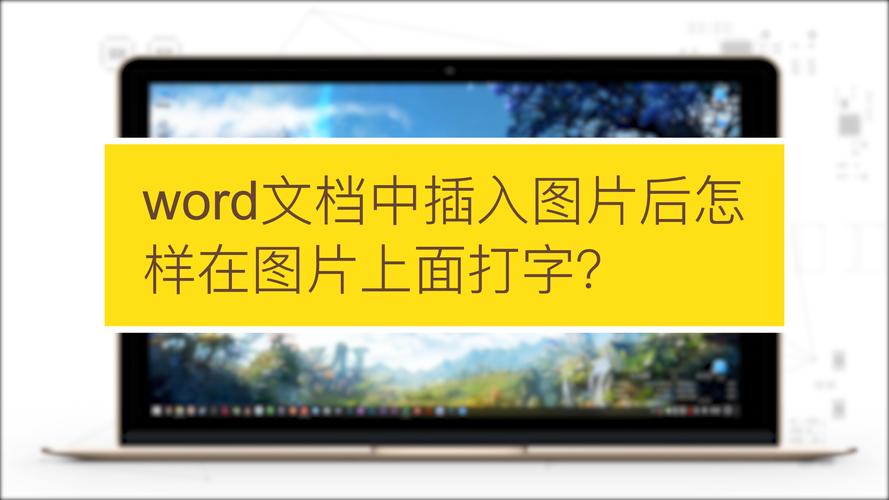 为什么word插入图片