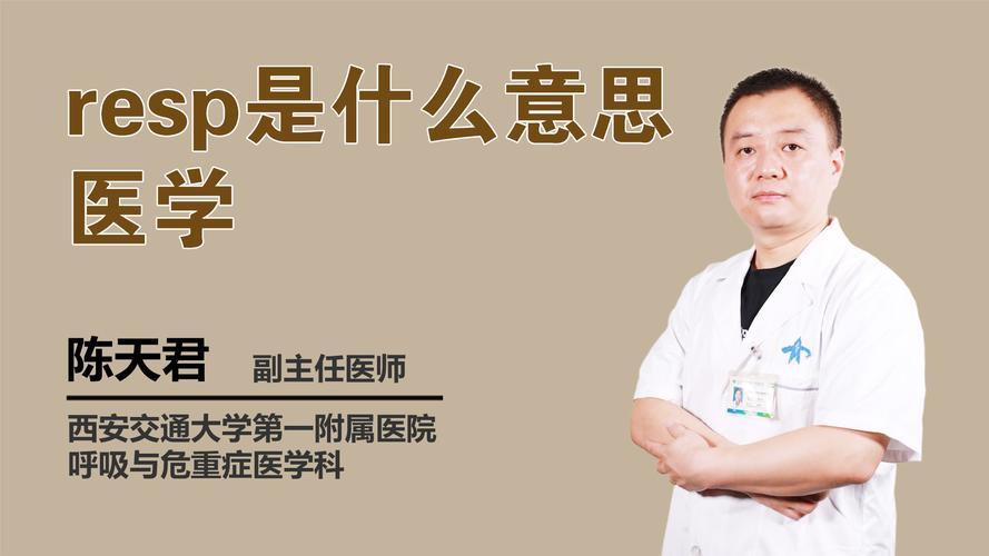 ckd5期是什么意思