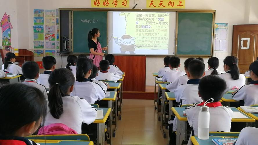 杨氏之子的回答巧妙在哪里