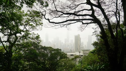 香港foreo专柜在哪里