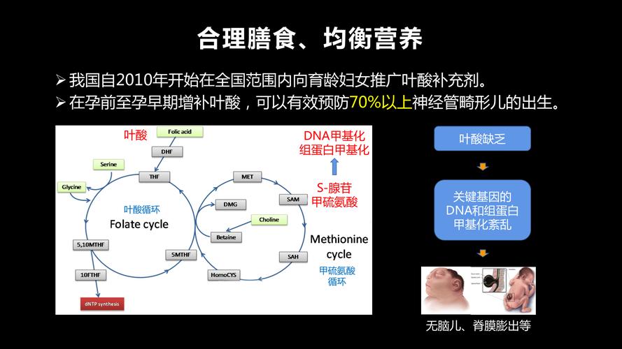 dna解旋酶作用于哪里