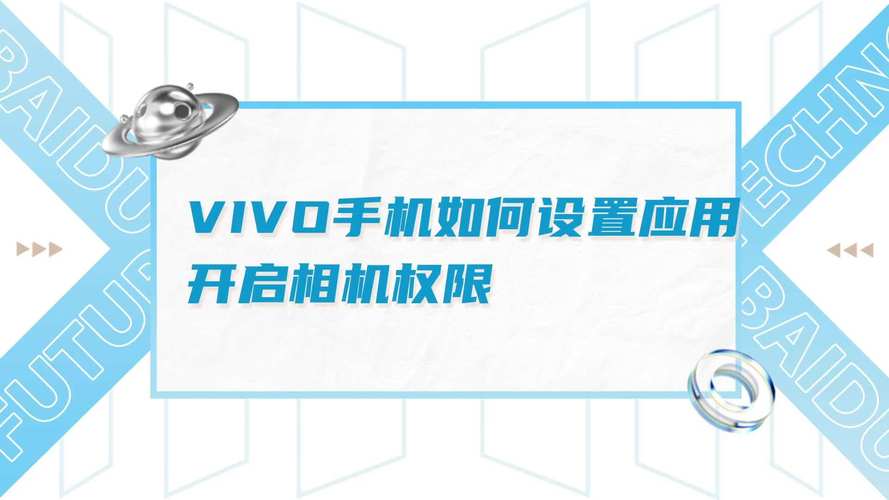 vivo权限管理在哪里找