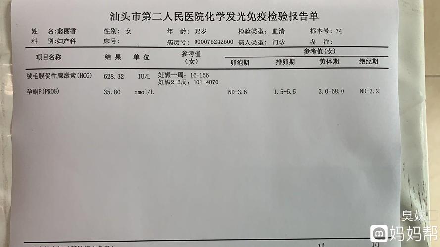 hcg检查是什么意思