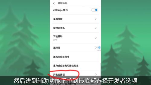 oppor7开发者选项在哪里