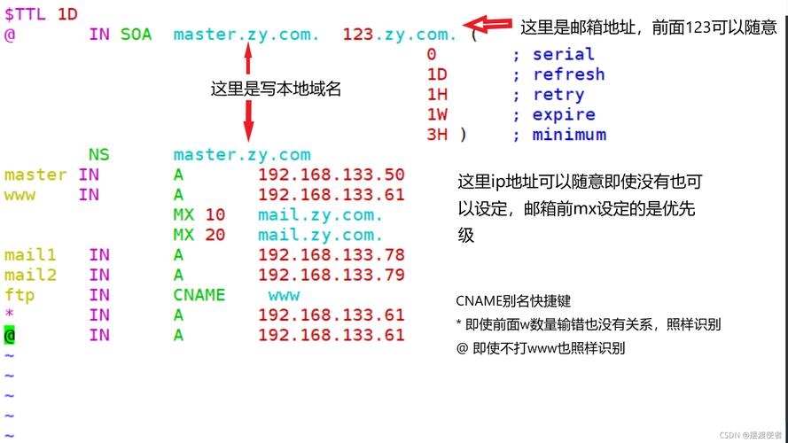 dns服务器什么意思