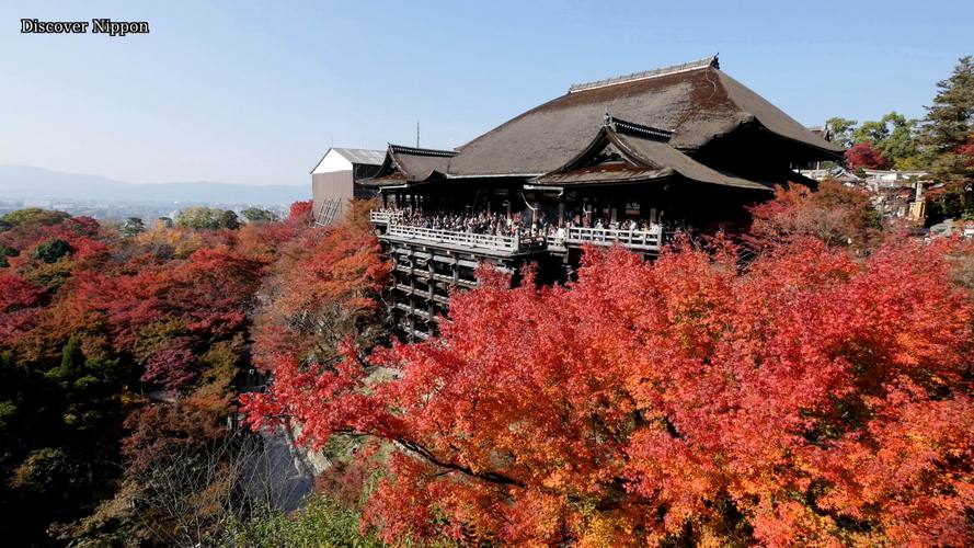 京都有哪些景点