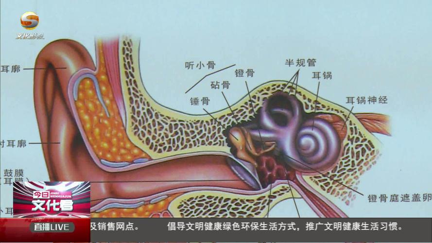 耳石症有什么症状表现