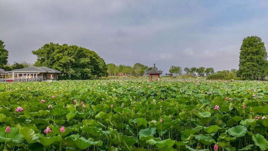 6月23日是什么日子