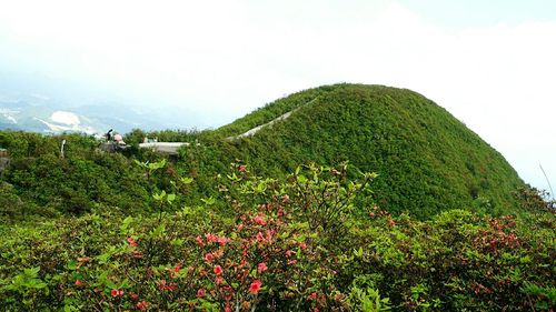 龙泉景点有哪些地方