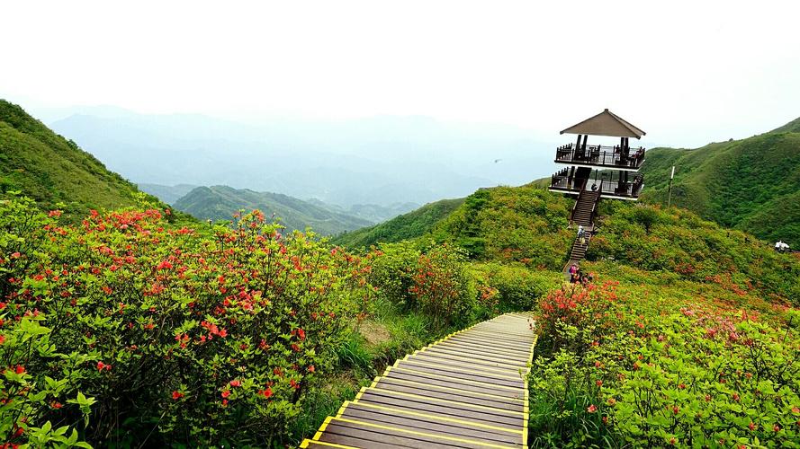 大围山有哪些景点