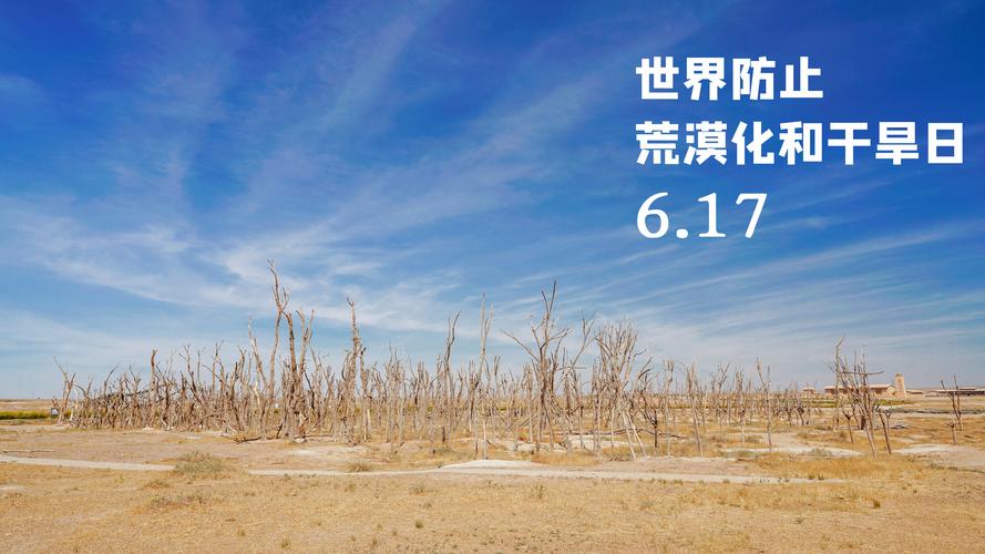 6月5日是世界什么日