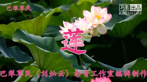 花中君子下一句是什么