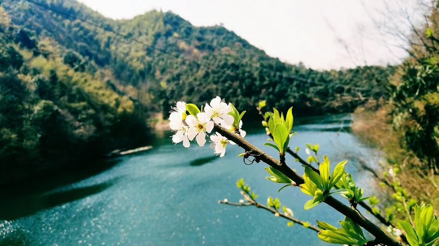 宁国旅游景点有哪些