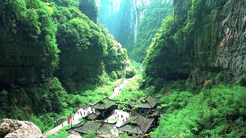 武隆仙女山有哪些景点