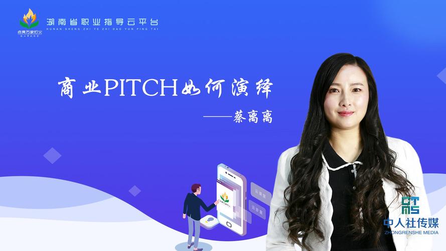 pitch是什么意思