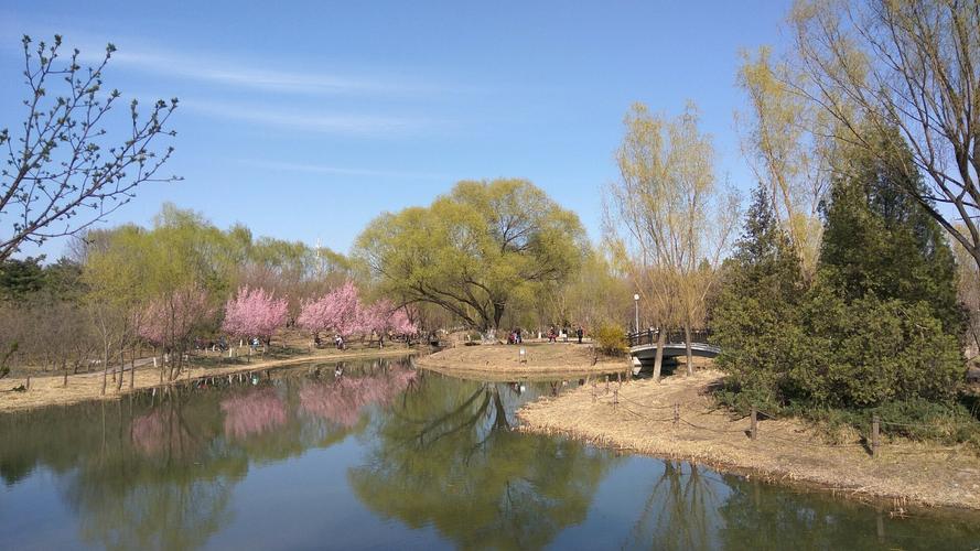 朝阳区景点有哪些地方