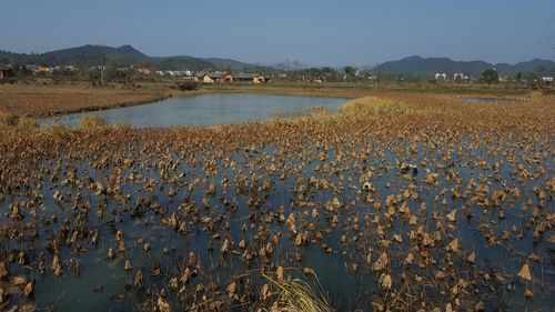 宁乡有哪些旅游景点