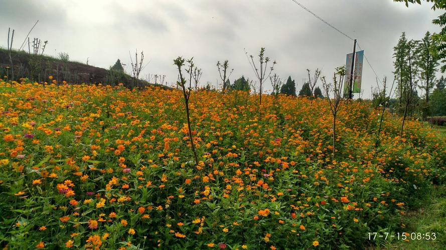 乐至有哪些旅游景点