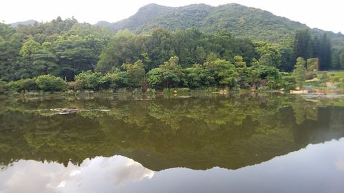 深圳植物园有哪些景点