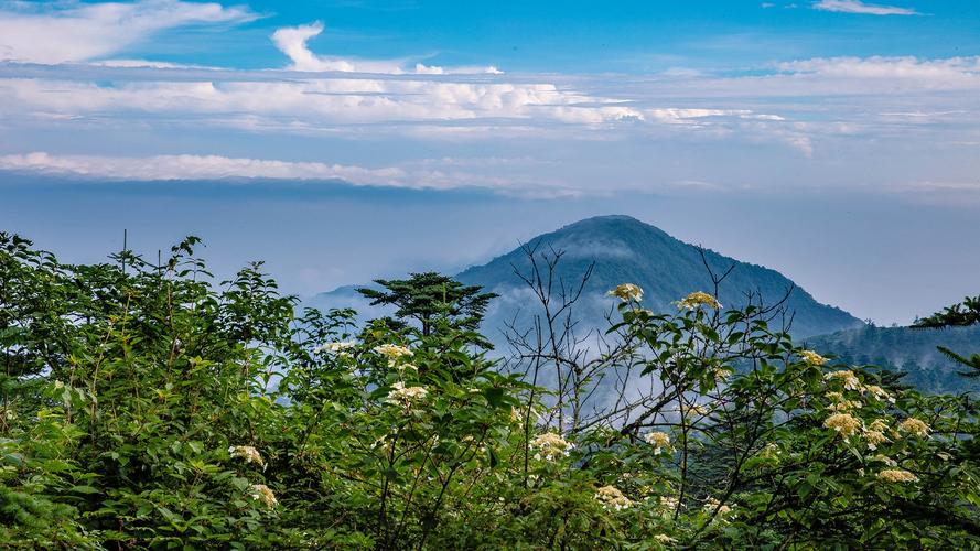 峨眉山市有哪些景点