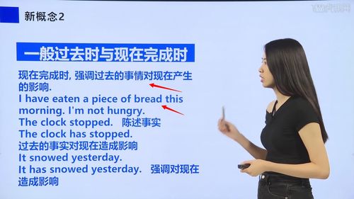 bread是什么意思