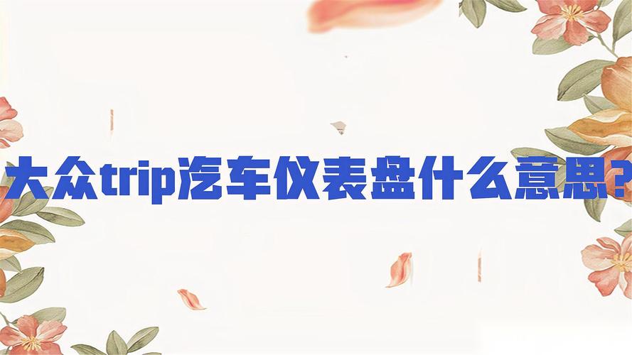 trip的意思是什么