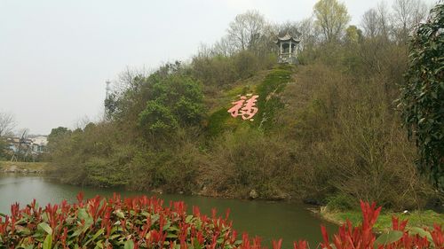 芜湖有哪些免费景点