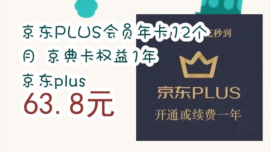 京东plus什么意思