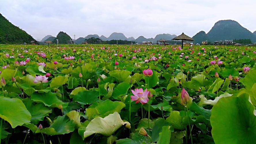 普者黑有哪些旅游景点