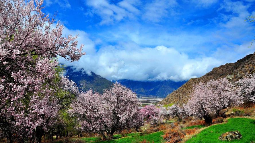 林芝旅游景点有哪些