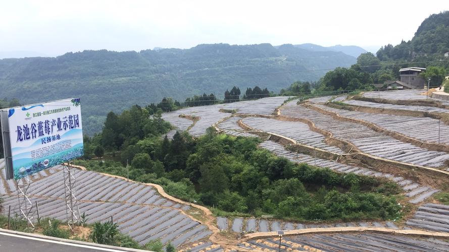 通江有哪些旅游景点