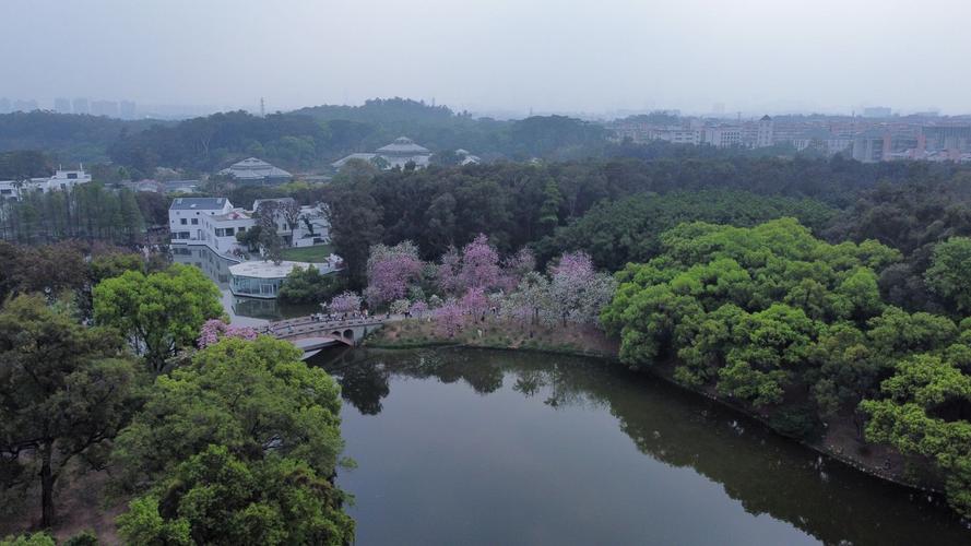 华南植物园有哪些景点