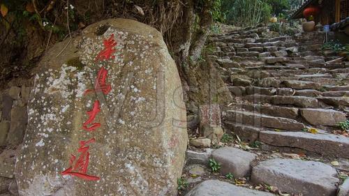 泽雅风景区有哪些景点