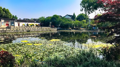 江宁一日游有哪些景点