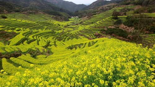 篁岭有哪些景点