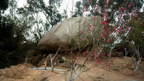 汕头景区有哪些景点