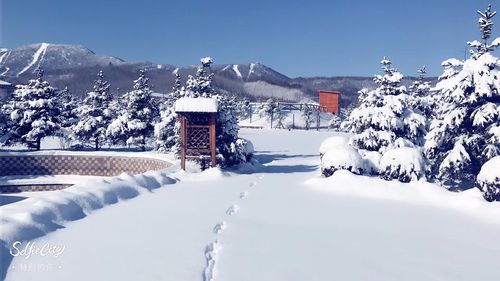 亚布力风景区有哪些景点