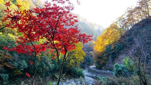 光雾山有哪些景点好玩