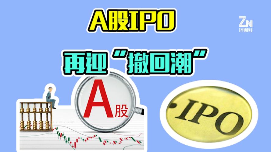 a股上市公司什么意思