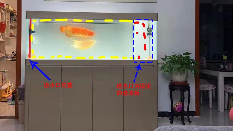 鱼缸放在什么位置最好