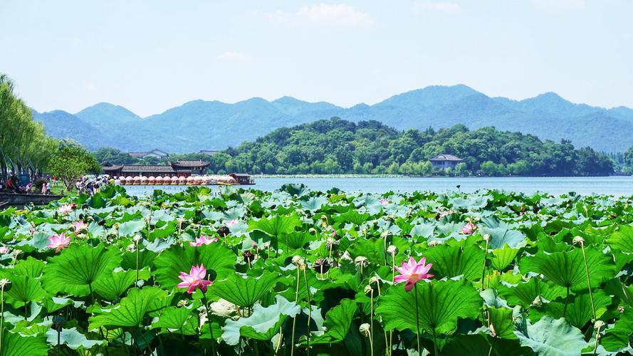 西湖附近有哪些景点