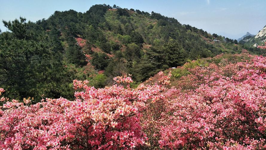 黄冈周边有哪些景点