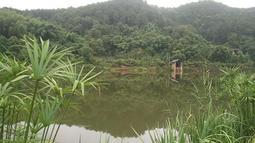 璧山有哪些景点