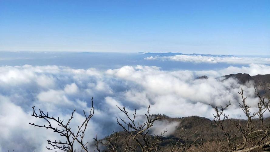 天目山有哪些景点