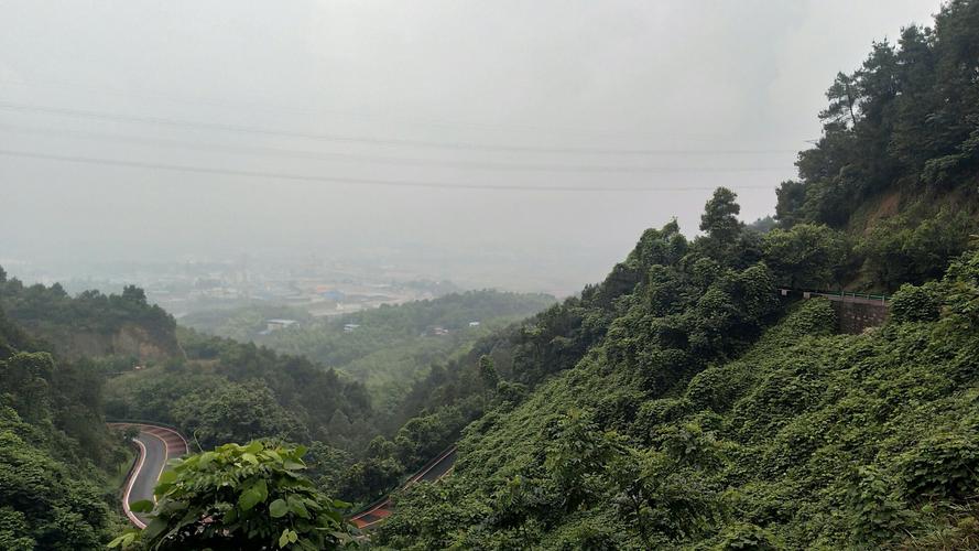 重庆沙坪坝有哪些景点