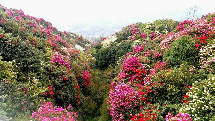 花都有哪些旅游景点